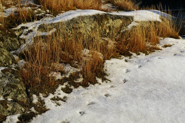 Χιόνι Άγρια Εδάφη Στο Rakke Norwa — Φωτογραφία Αρχείου