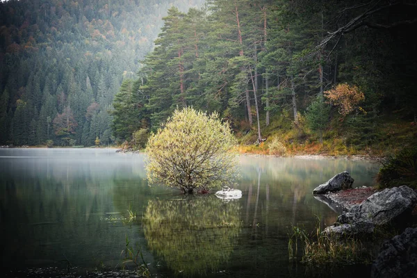 Bela Paisagem Lago Eibsee Baviera Alemanha Durante Outono — Fotografia de Stock