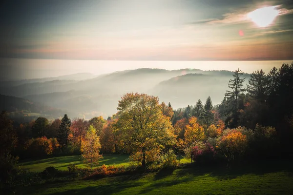 Paisaje Otoñal Árboles Coloridos Con Fondo Montañoso Bosque Baviera Alemania — Foto de Stock