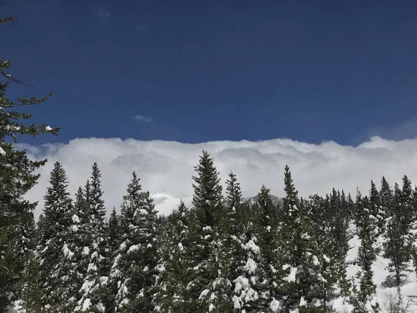 Beautiful Snowy View Rocky Mountain National Park Estes Usa — Zdjęcie stockowe