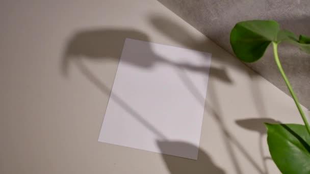 グレーの背景に空白のメモが書かれた白い紙シート — ストック動画