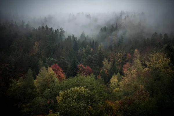 Paysage Automne Arbres Colorés Avec Fond Montagnes Dans Forêt Bavaroise — Photo