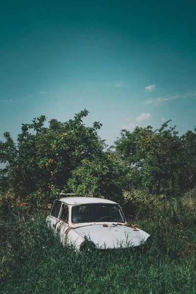 Old Car Grown Grass Garden — стоковое фото