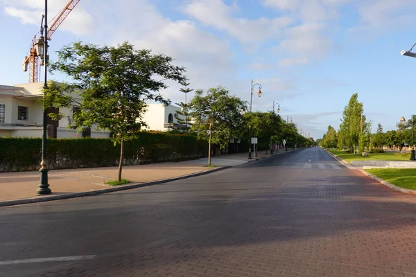 Beautiful View Empty Road Trees Sunny Day — Foto Stock