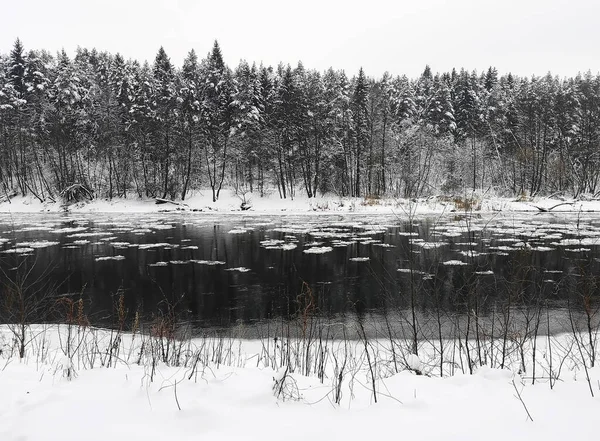 Beautiful View Small Lake Forest Many Fir Trees Covered Snow — Fotografia de Stock