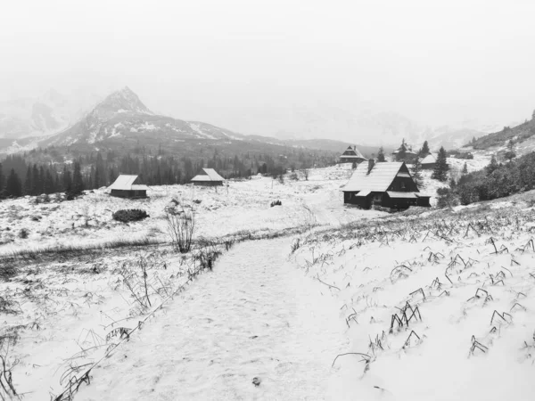 Szary Krajobraz Śnieżnymi Wiejskimi Domami Górami Mglisty Dzień — Zdjęcie stockowe