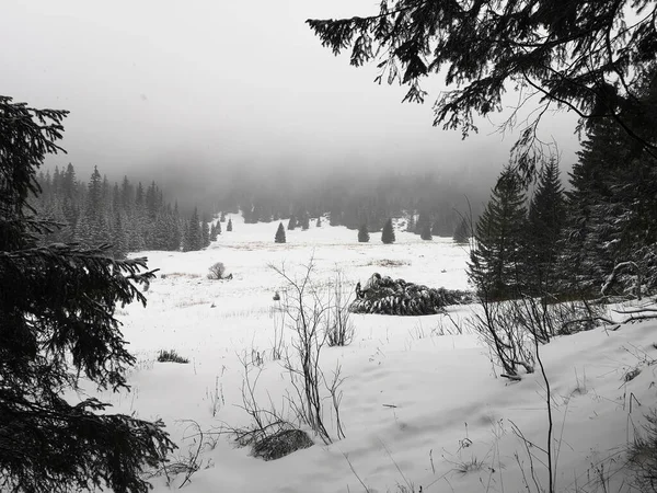 Een Grijze Foto Van Besneeuwd Open Terrein Met Een Mistig — Stockfoto