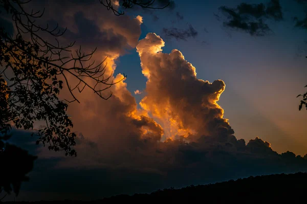 Low Angle Shot Tree Branches Cloudy Sky Beautiful Sunset — Stockfoto