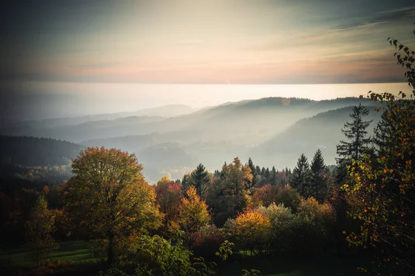 Hösten Landskap Färgglada Träd Med Berg Bakgrund Bayerska Skogen Tyskland — Stockfoto