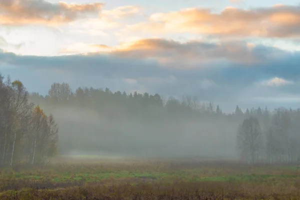 Poranna Mgła Nad Szwedzkim Krajobrazem Jesienią — Zdjęcie stockowe