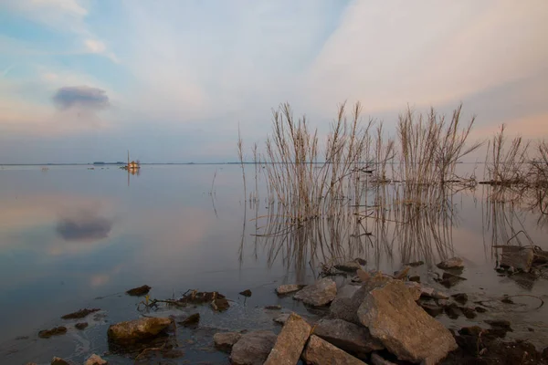 Lake Shore Rocks Reeds Blue Sky — Stok fotoğraf