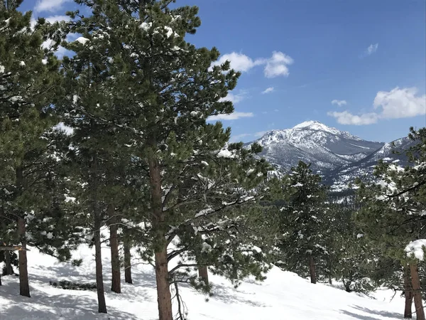 Beautiful Snowy View Rocky Mountain National Park Estes Usa — ストック写真