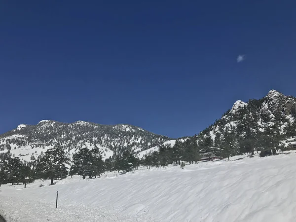 Beautiful Snowy View Rocky Mountain National Park Estes Usa — стоковое фото