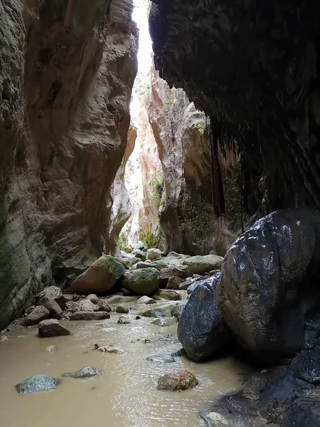 Rocks Avakas Gorge Peyia Cyprus — Fotografia de Stock