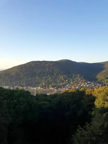 Ein Vertikaler Blick Auf Die Altstadt Von Heidelberg Vom Schlosshotel — Stockfoto