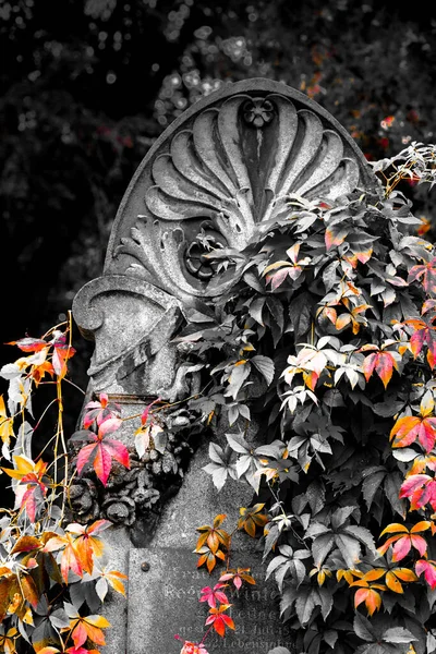 Вертикальный Снимок Кладбища Осенними Листьями — стоковое фото