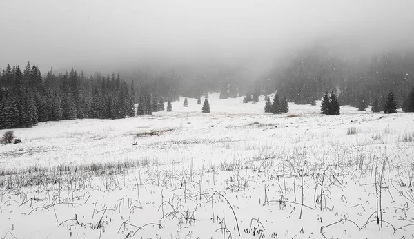 多雾的天气 一片灰蒙蒙的雪景 — 图库照片