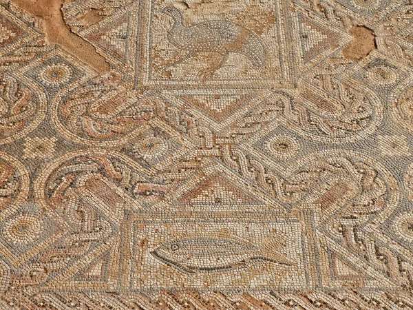 Pássaro Peixe Mosaico Nos Banhos Cidade Antiga Kourion Limassol Chipre — Fotografia de Stock