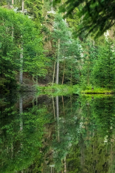 River Reflection Surrounding Forest — 스톡 사진
