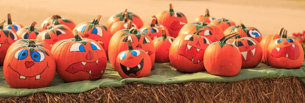 Closeup Shot Pumpkins Halloween — Stock Fotó