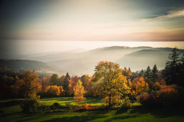 Die Herbstliche Landschaft Aus Bunten Bäumen Mit Bergkulisse Bayerischen Wald — Stockfoto