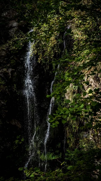Vertikální Záběr Malého Vodopádu Lese — Stock fotografie