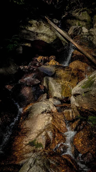 Vertical Shot Small River Stream Rocks — Fotografia de Stock