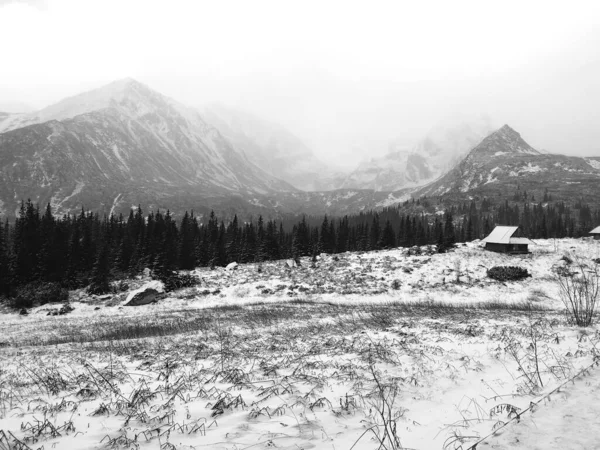 霧の多い日に山を背景に雪の開いた地形のグレースケールビュー — ストック写真