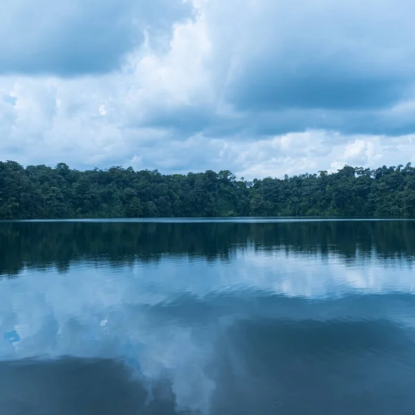 湖中一片片美丽的森林 布满了倒映在湖中的树木 — 图库照片