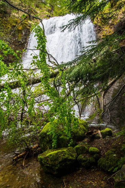 Krásný Výhled Velký Vodopád Mechy Útesy Zeleném Lese — Stock fotografie