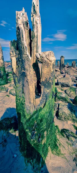 Ein Vertikaler Schuss Von Holzstümpfen Ragt Meer Den Sand — Stockfoto