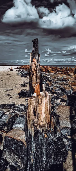 Ein Vertikaler Schuss Von Holzstümpfen Ragt Meer Den Sand — Stockfoto