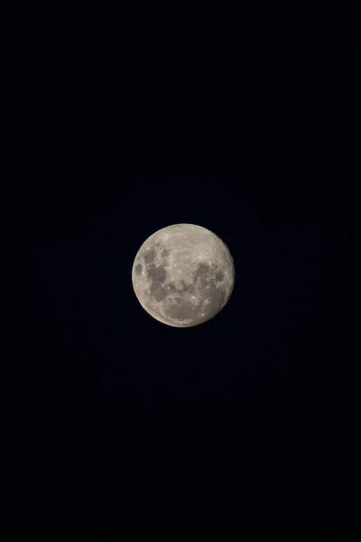 Een Verticaal Schot Van Een Volle Maan Tegen Een Zwarte — Stockfoto