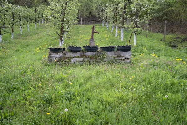 Vijf Handgemaakte Bloempotten Een Tuin Bedekt Met Groen Bij Daglicht — Stockfoto