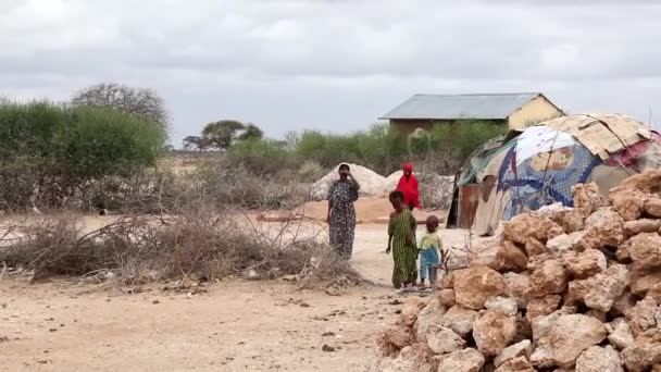 Filmaufnahmen Einer Frau Die Afrika Nach Wasser Sucht — Stockvideo