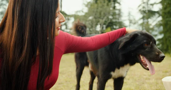 Une Jeune Indienne Caressant Chien Errant Dans Parc — Photo