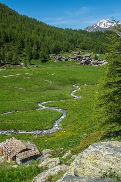 Sebuah Gambar Vertikal Dari Danau Superior Fusine Tarvisio Dengan Hutan — Stok Foto