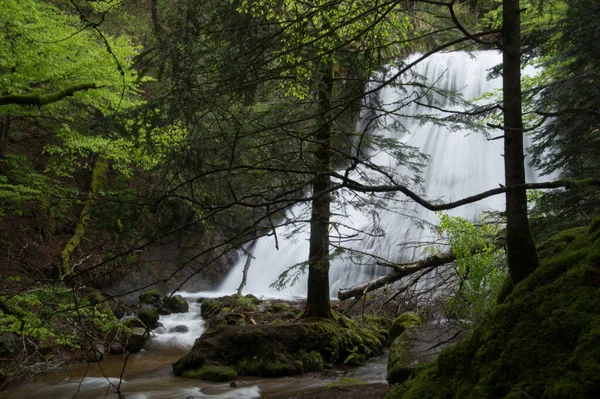 Uma Bela Vista Uma Grande Cachoeira Musgos Falésias Floresta Verde — Fotografia de Stock