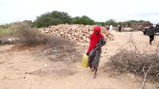 Bilder Kvinne Som Går Etter Vann Afrika – stockvideo