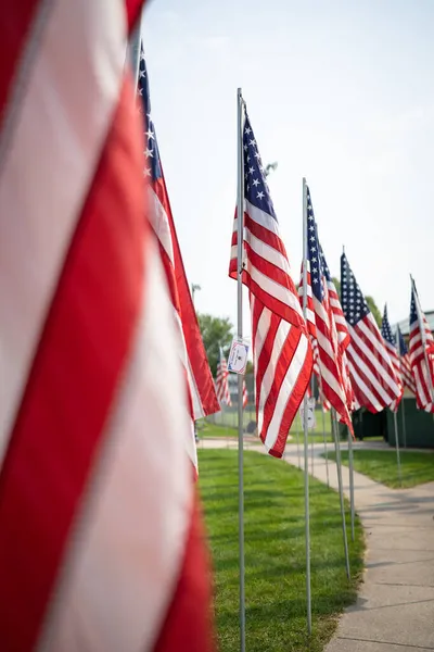 Flaggorna Amerikas Förenta Stater Flaxar Vinden Isen Park Saint Paul — Stockfoto