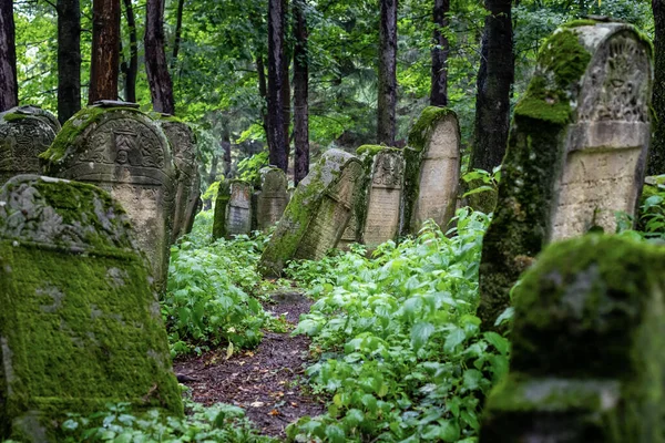 Εβραϊκό Νεκροταφείο Στη Λέσκο Της Πολωνίας — Φωτογραφία Αρχείου