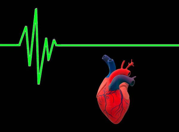 Ілюстрація Електрокардіографії Екг Анатомії Людського Серця Ізольована Чорному Тлі — стокове фото