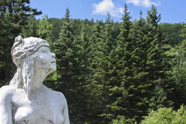 Ett Kvinnligt Monument Framför Tallskogen — Stockfoto