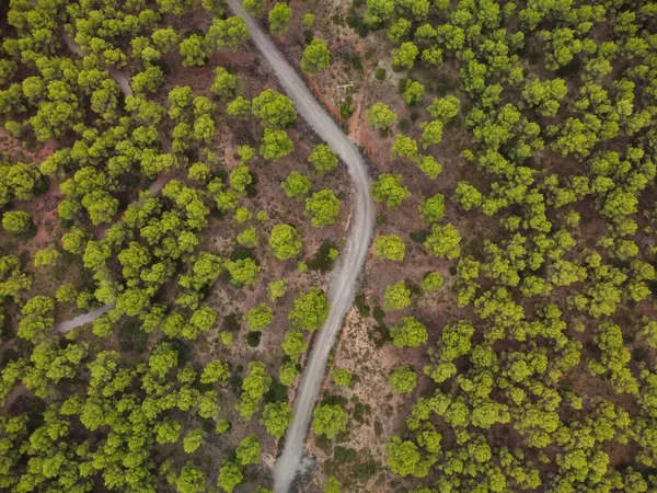 Αεροφωτογραφία Δρόμου Ανάμεσα Δέντρα Στο Δάσος Στο Vista Των Ηπα — Φωτογραφία Αρχείου