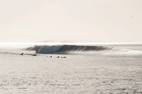 Güneşli Bir Günde Dalgalarda Sörf Yapan Bir Grup Sörfçü — Stok fotoğraf