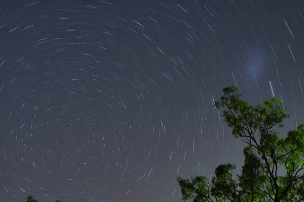 Circumpolaire Sterren Aan Nachtelijke Hemel Achter Bomen — Stockfoto