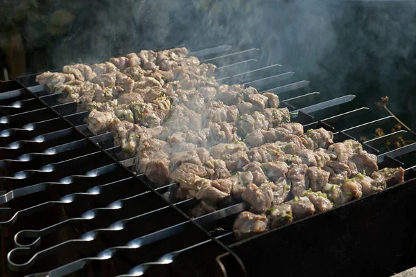 Uma Fileira Espetos Com Carne Frita Grelha — Fotografia de Stock