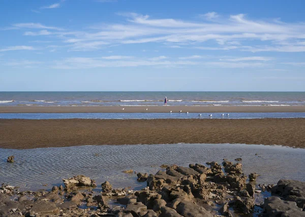 Mujer Solitaria Caminando Una Playa Con Gaviotas — Foto de Stock