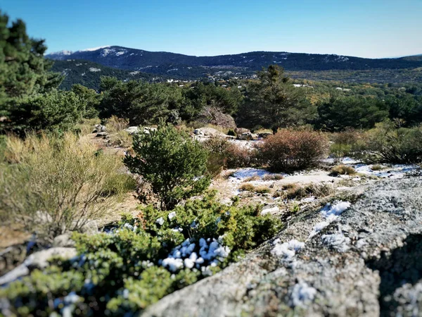 Vue Naturelle Fonte Des Neiges Sur Terrain Cercedilla Sierra Guadarrama — Photo