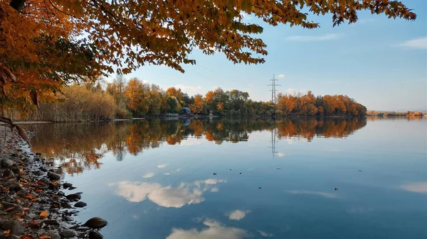 Fascinující Podzimní Pohled Jezero Labutěmi Jasných Teplých Barvách Denního Světla — Stock fotografie